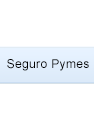 seguro pymes