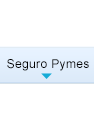 seguro pymes